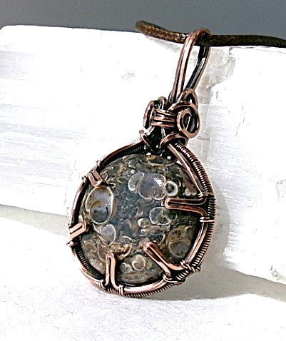 Turritella Fossil Agate gemstone copper wire wrapped crystal pendant